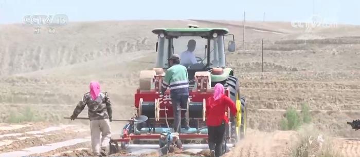 包含火箭再度遭遇不菲，全力应对才是硬道理！的词条